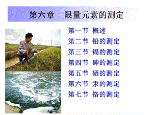 第6章限量元素的测定.ppt