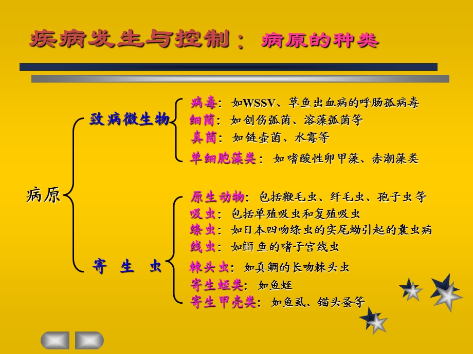 第一节水产动物疾病发生的原因一病因的定义病因就是疾名师编辑PPT课件.ppt_第2页