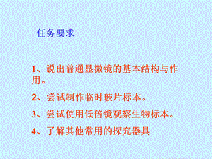 第一节探索生命的器具.ppt