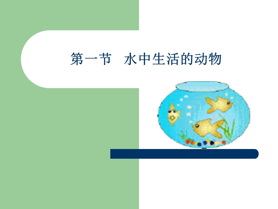 第一节水中生活的动物名师编辑PPT课件.ppt_第1页