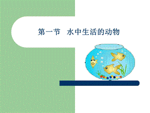 第一节水中生活的动物名师编辑PPT课件.ppt