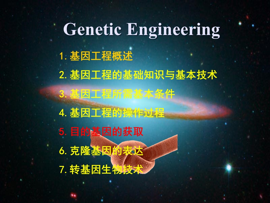 五目的基因的获取.ppt.ppt_第1页