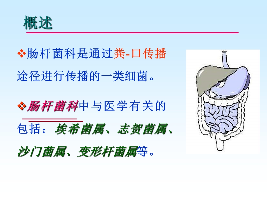 第15章肠道感染细菌.ppt_第2页