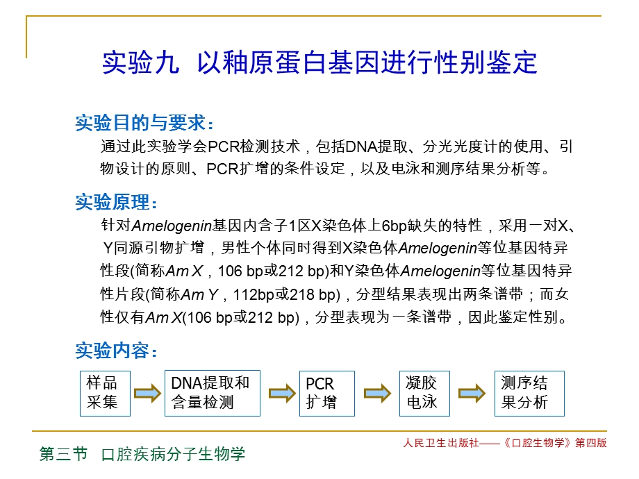 釉原蛋白基因性别鉴定.ppt_第2页