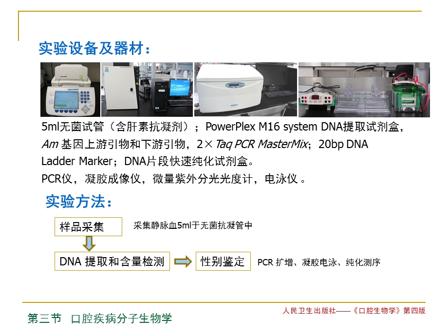 釉原蛋白基因性别鉴定.ppt_第3页