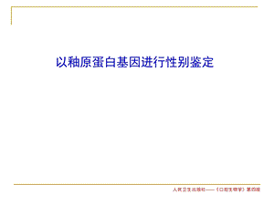 釉原蛋白基因性别鉴定.ppt