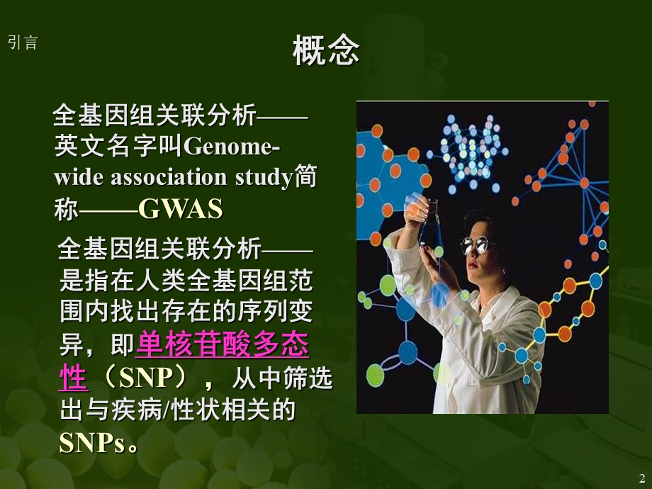 全基因组关联分析.ppt.ppt_第2页