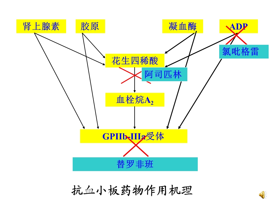 抗血栓药物的临床应用与案例分析.ppt_第3页