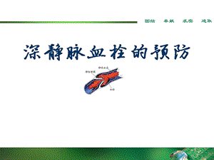 深静脉血栓的预防.ppt