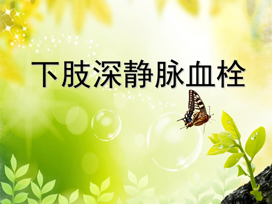 下肢深静脉血栓幻灯.ppt.ppt_第1页