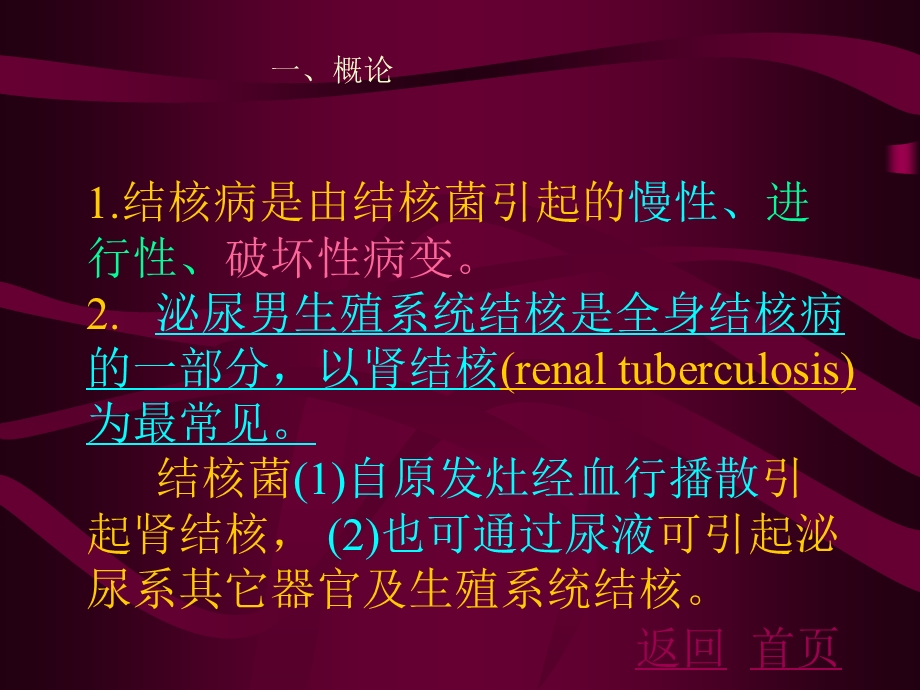 泌尿系结核[优质文档].ppt_第2页