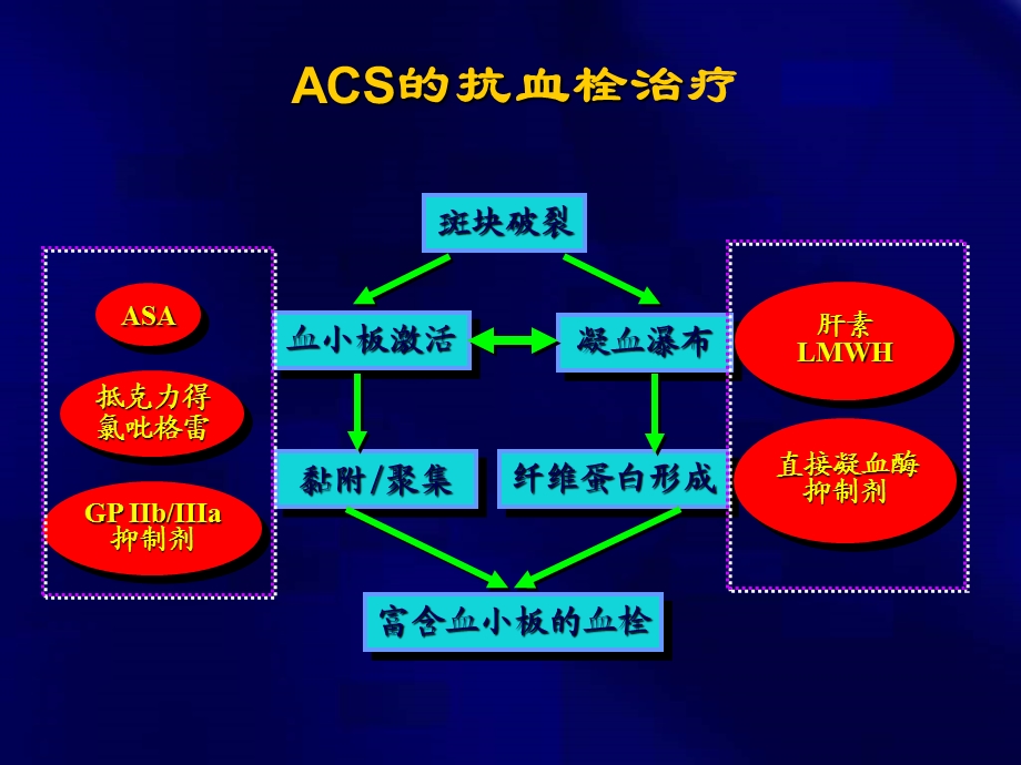 ACS更新指南中的抗栓治疗.ppt_第3页