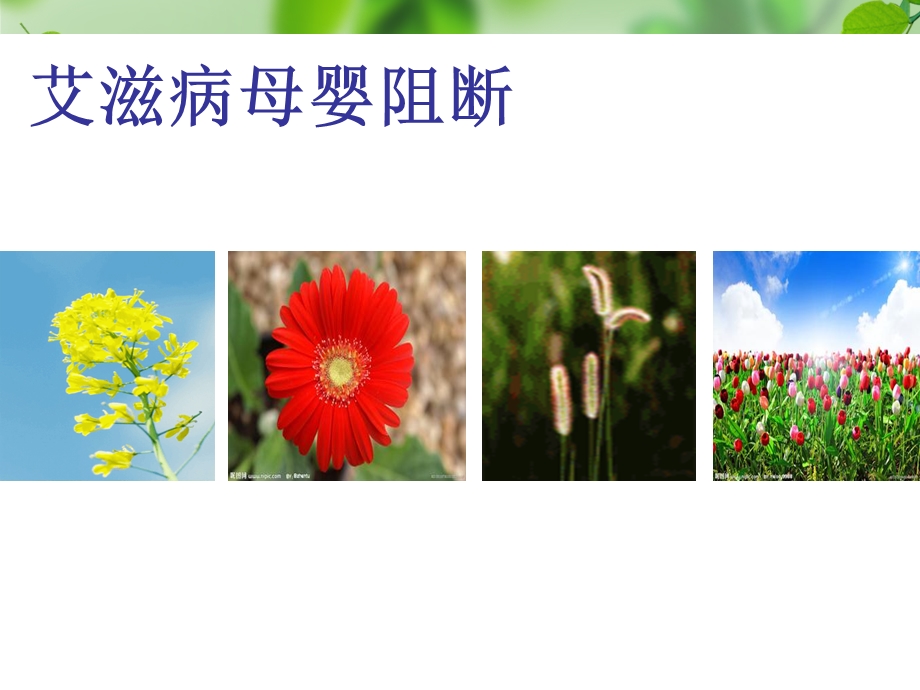 1—艾滋病母婴阻断.ppt_第1页