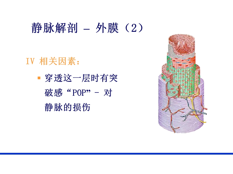 PICC导管相关性血栓形成及处理PICC 上肢静脉解剖及相关性血栓形成.ppt_第3页