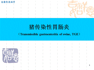 传染性胃肠炎.ppt