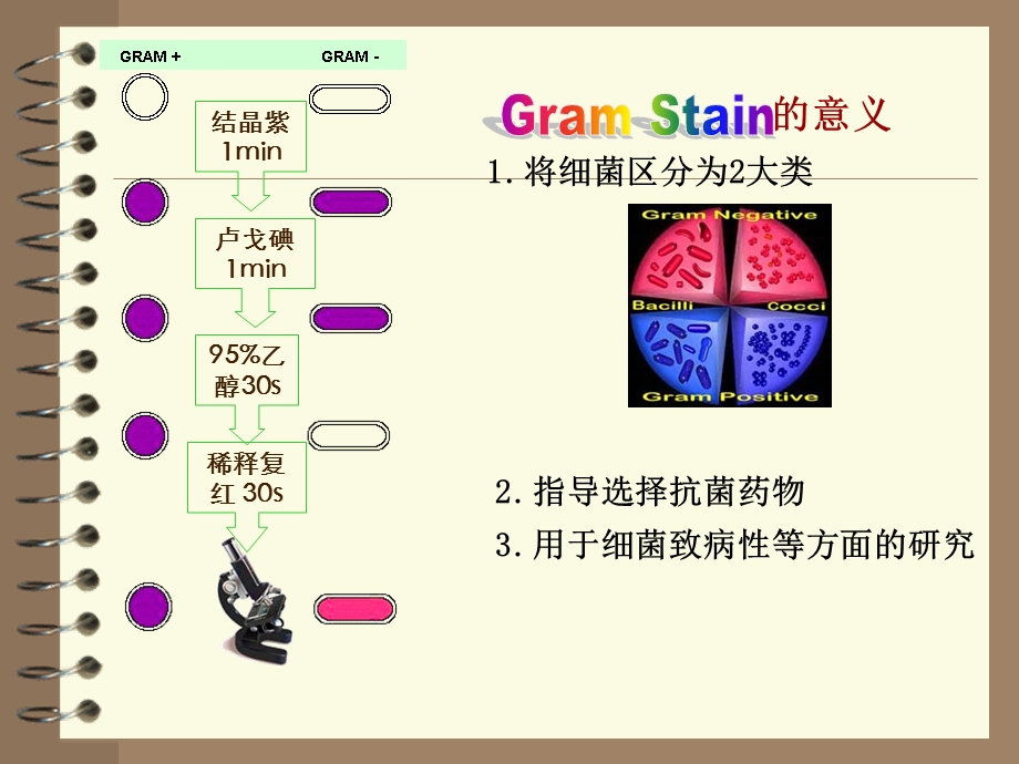 细菌的检查方法.ppt_第3页