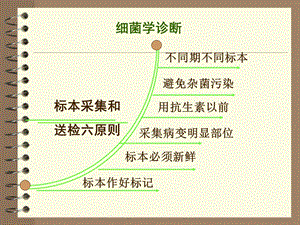 细菌的检查方法.ppt