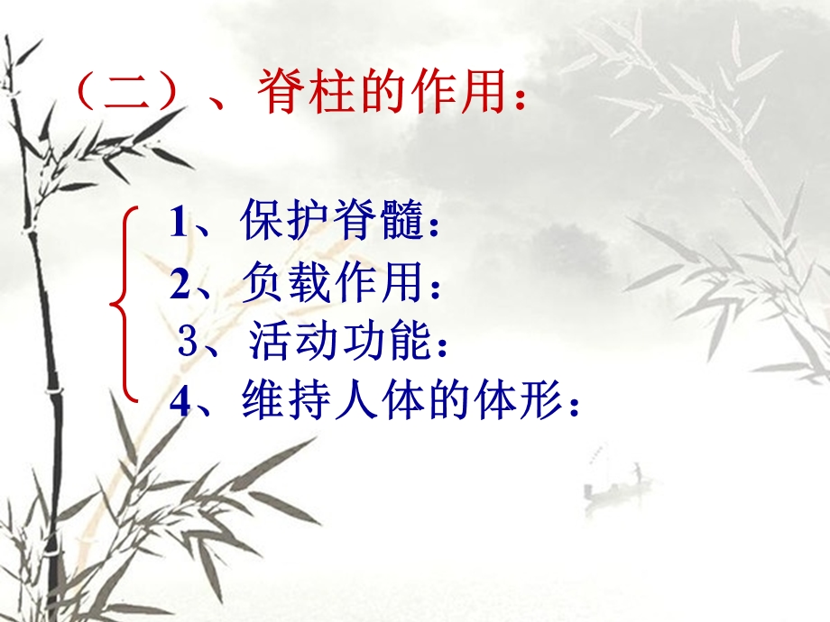 脊柱骨折和骨盆骨折.ppt_第3页