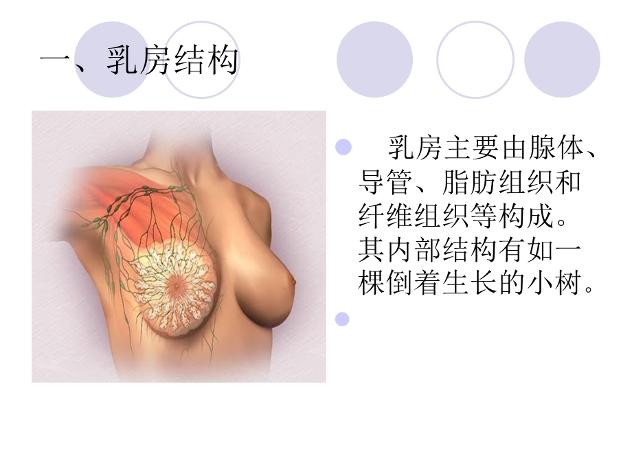 产后奶涨的治疗与指导.ppt_第3页