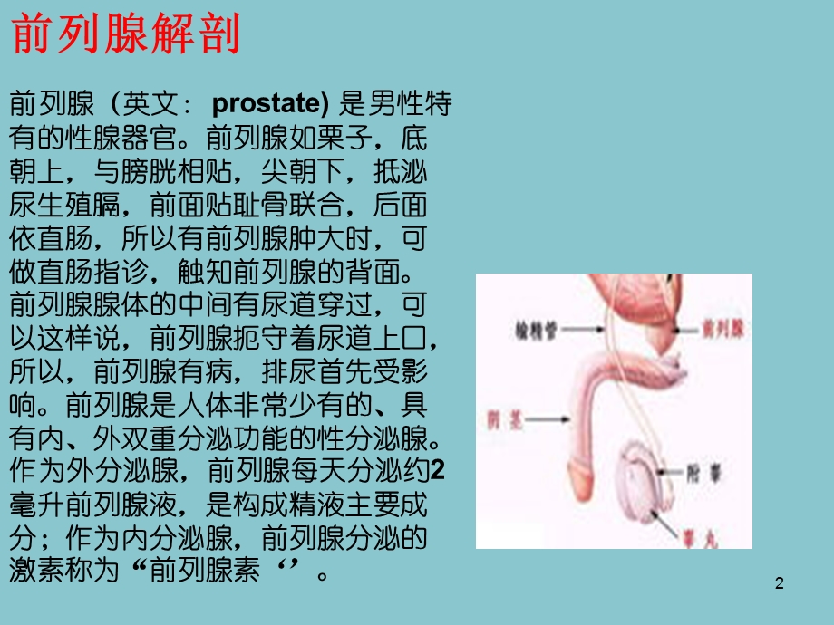 前列腺点切术术后护理.ppt_第2页