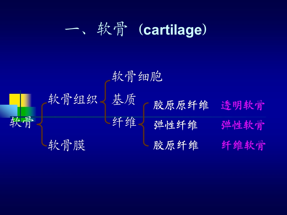 关节软骨的生物力学特性.ppt_第2页