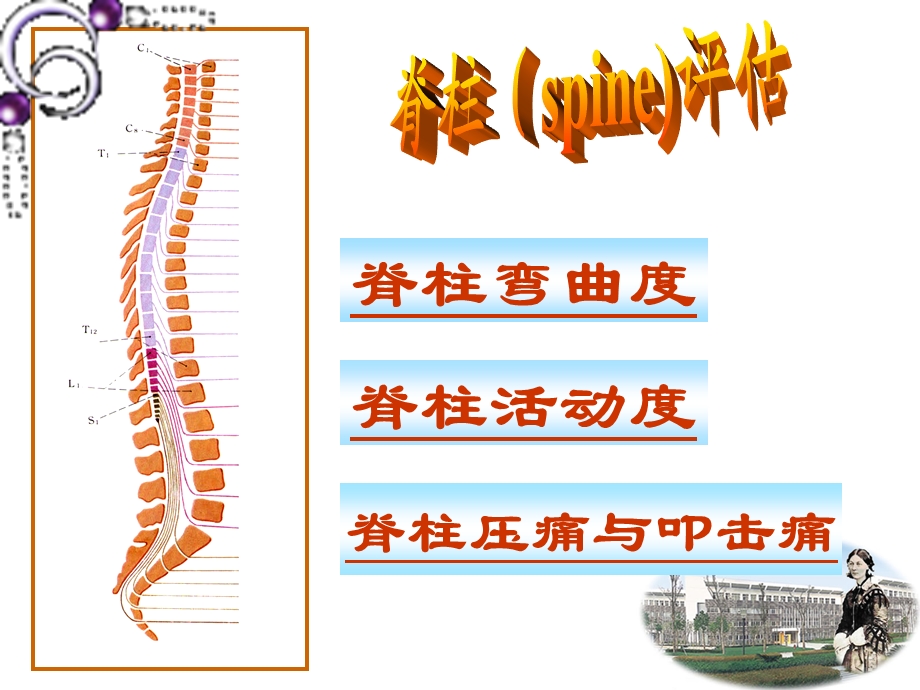 脊柱四肢、神经系统评估.ppt_第3页