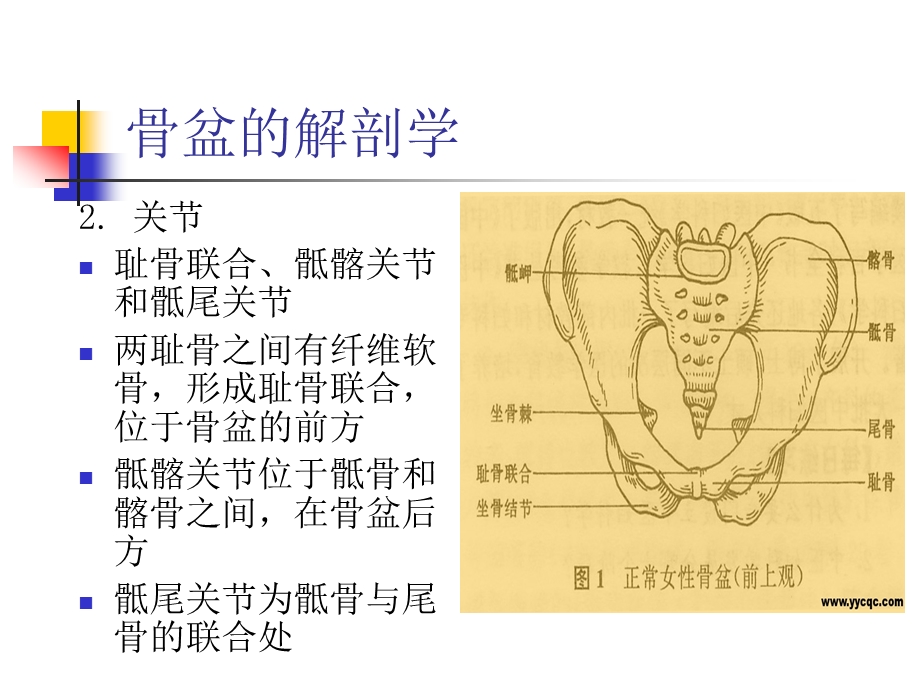 骨盆骨折病人的护理管理.ppt_第3页