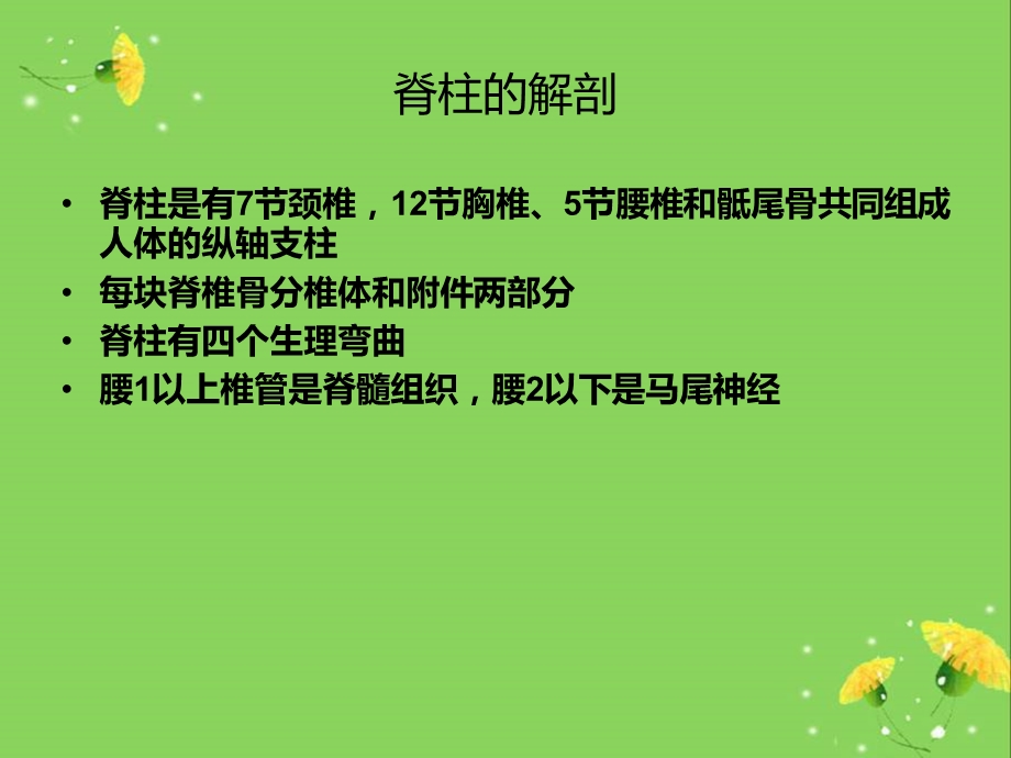 脊柱骨折护理2.ppt_第2页