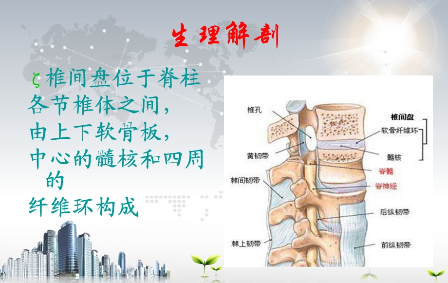 腰椎间盘突出症护理.ppt_第2页