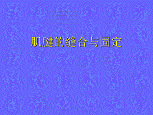 肌腱缝合技术.ppt