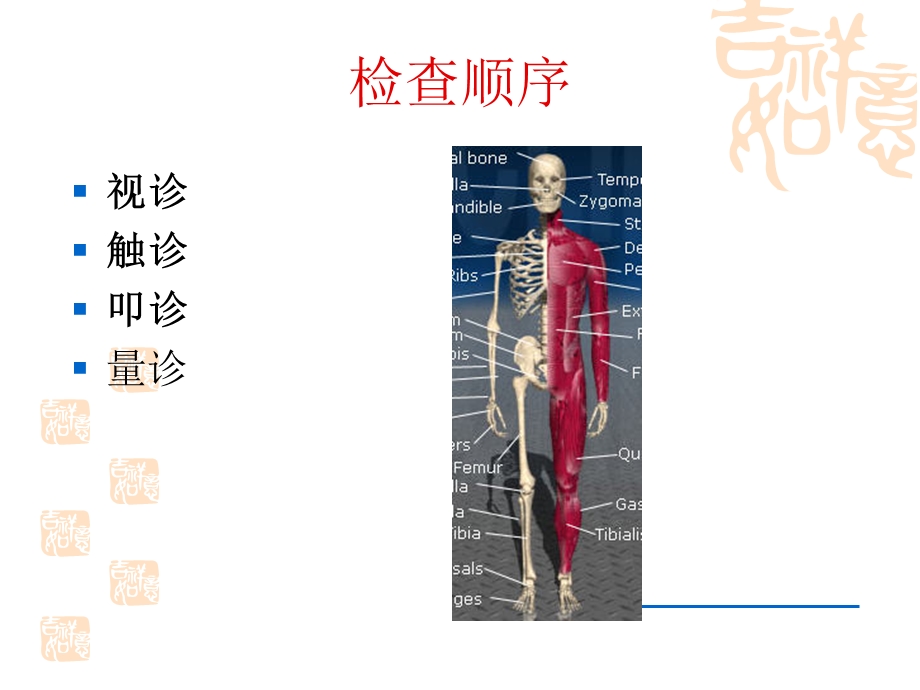 诊断学第二篇第八章脊柱与四肢检查(李驰).ppt_第2页