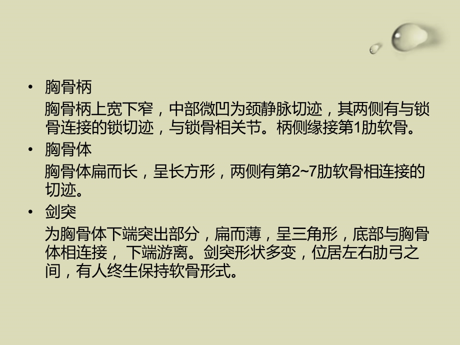 胸骨骨折的治疗与护理.ppt_第3页