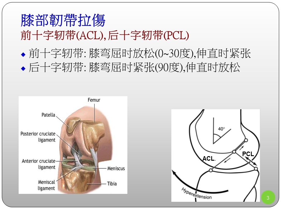 膝关节评估917.ppt_第3页