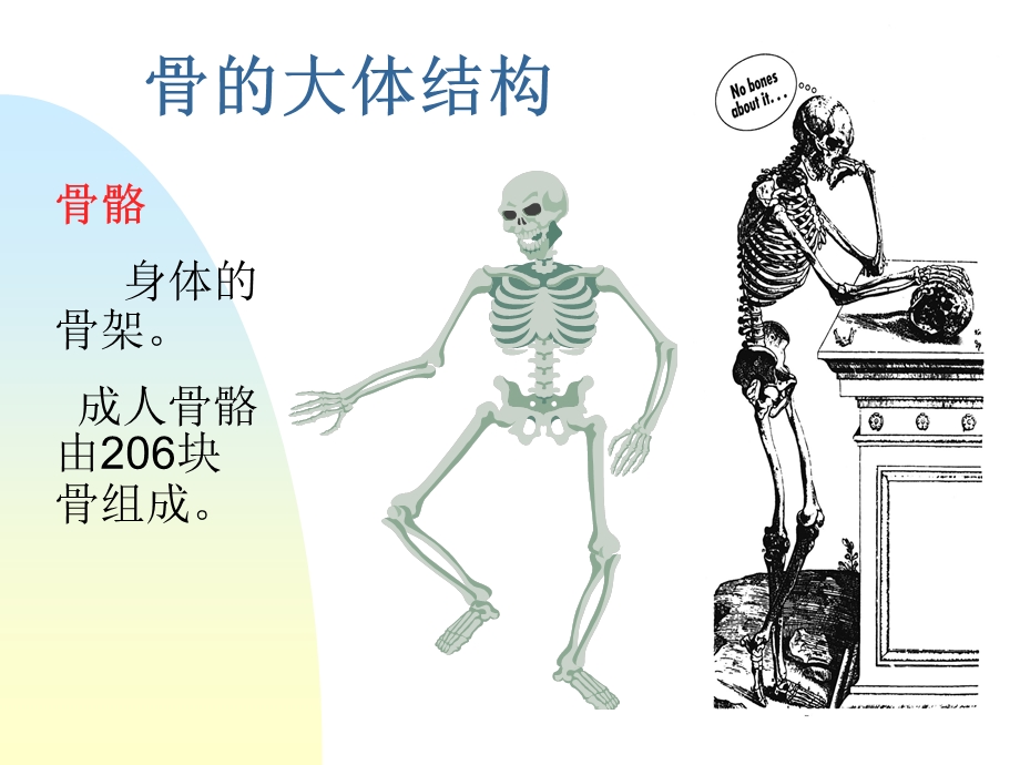 骨质疏松症讲座.ppt_第2页