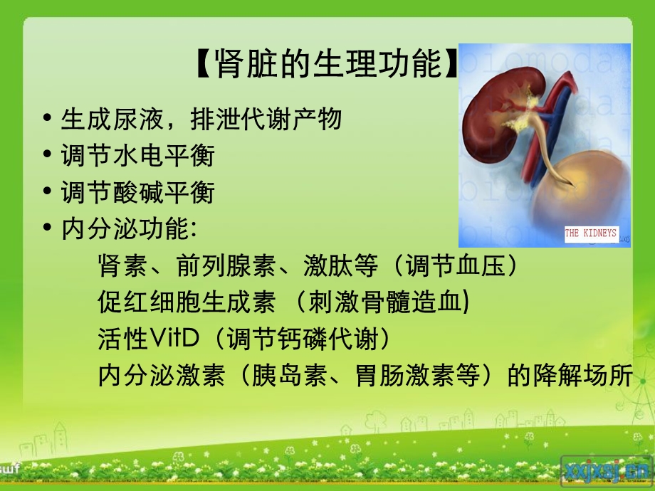 急性肾衰竭护理.ppt_第3页