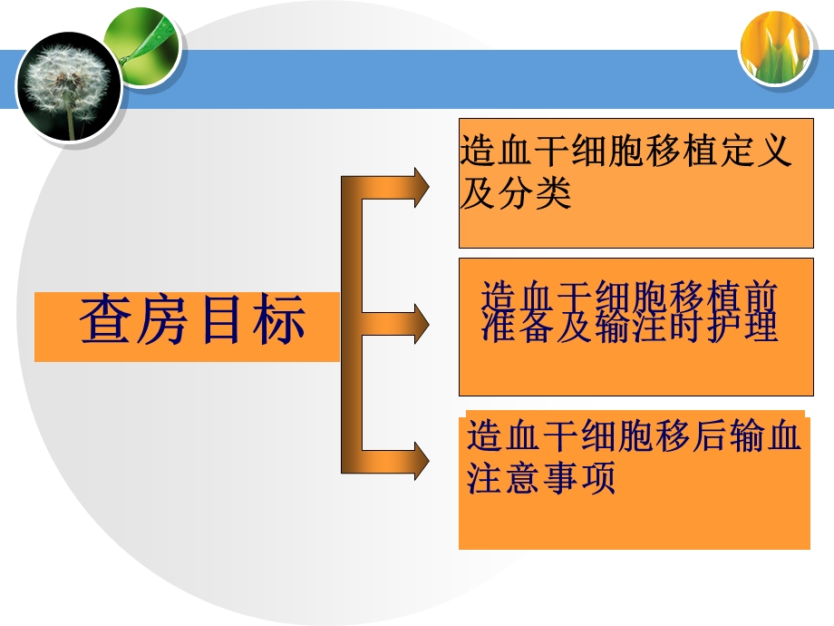 异基因造血干细胞移植护理.ppt_第2页