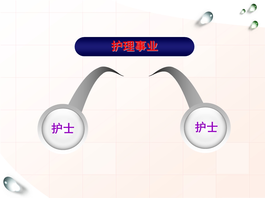 建立优质护理服务团队培训.ppt_第2页