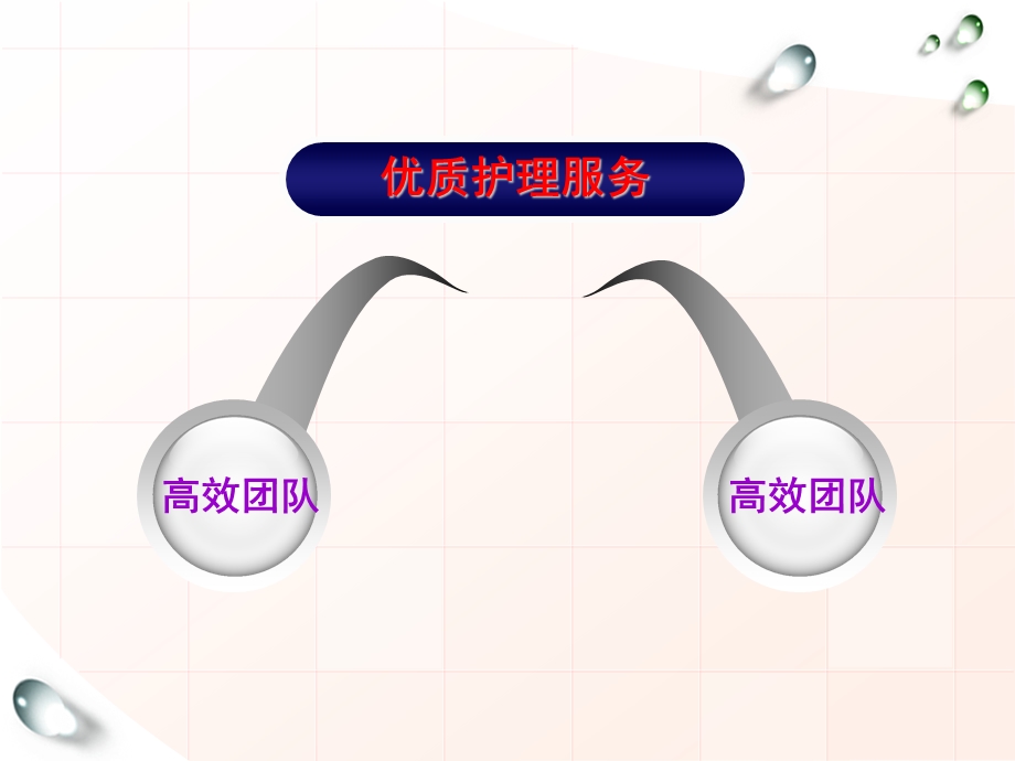 建立优质护理服务团队培训.ppt_第3页