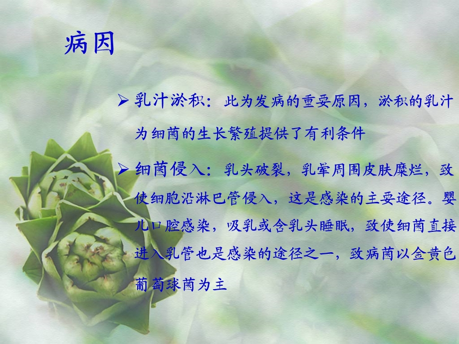 急性乳腺炎病人的护理.ppt.ppt_第3页