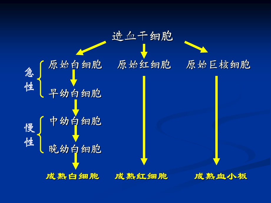 急性白血病病人护理.ppt_第3页