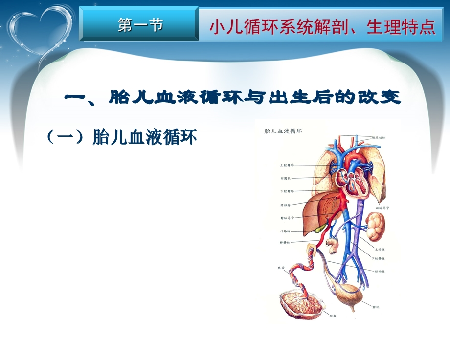 循环系统疾病患儿护理.ppt.ppt_第3页