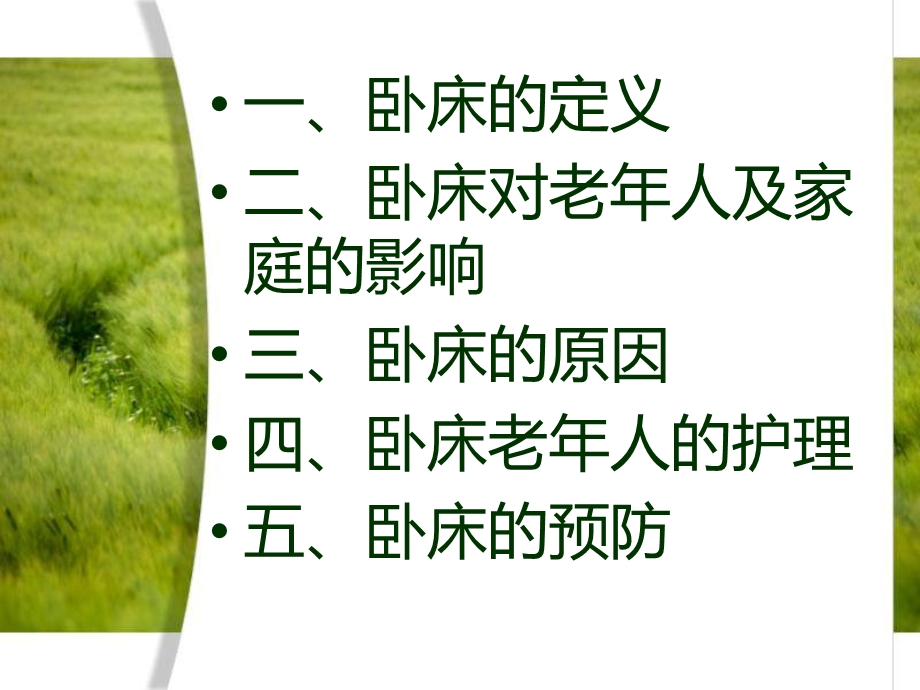 卧床老人的护理.ppt_第2页