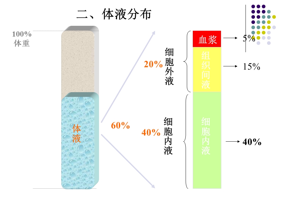 低血容量性休克病人的护理.ppt_第3页