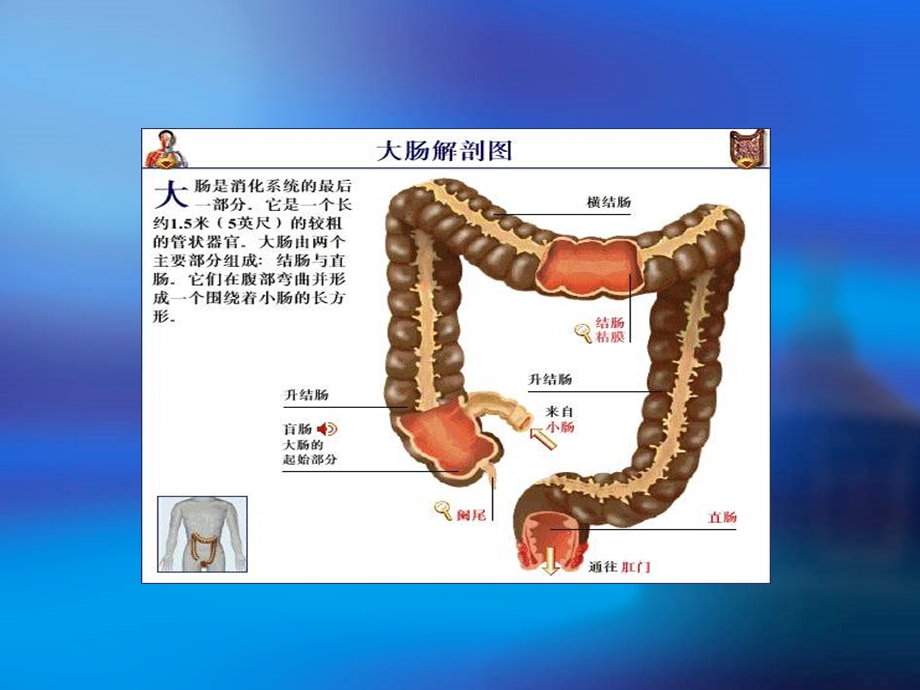 直肠癌的护理ppt.ppt_第2页