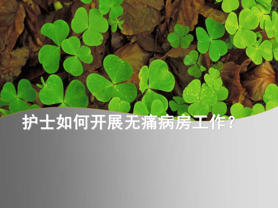 癌痛规范化治疗示范病房护士职责.ppt_第1页