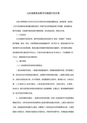 山东省服务业数字化提速行动方案.docx