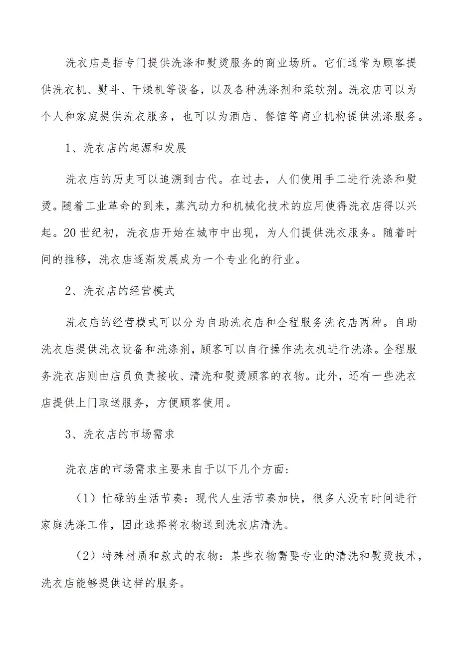 洗衣店项目实施的关键问题和建议分析.docx_第2页