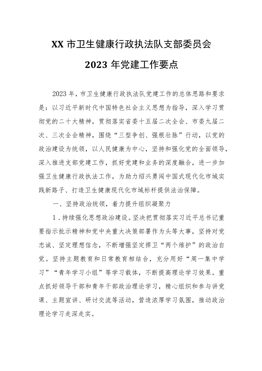 XX市卫生健康行政执法队支部委员会2023年党建工作要点.docx_第1页