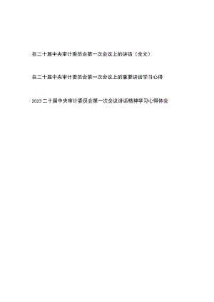 在二十届中央审计委员会第一次会议上的讲话（全文）和在二十届中央审计委员会第一次会议上的重要讲话学习心得体会共3篇.docx