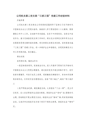 公司机关第二党支部“三抓三强”党建工作经验材料.docx